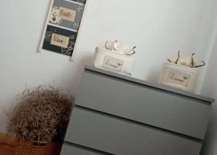 The Terrace Of San Miguel Daire Zaragoza