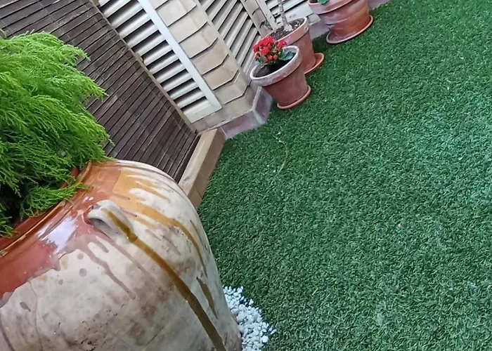 The Terrace Of San Miguel Zaragoza